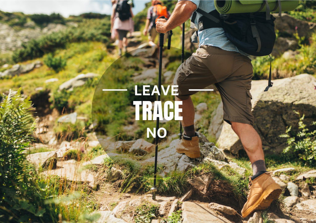 Eco-Friendly Hiking Practices: Guide to Sustainable Trails