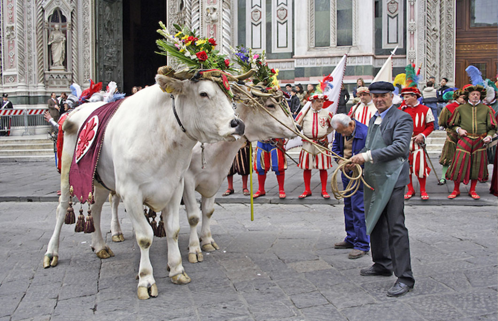 Sustainable Tourism in Italy: A Journey of Eco-Friendly Exploration